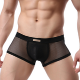 Mesh Breathable Sexy Men's Underwear