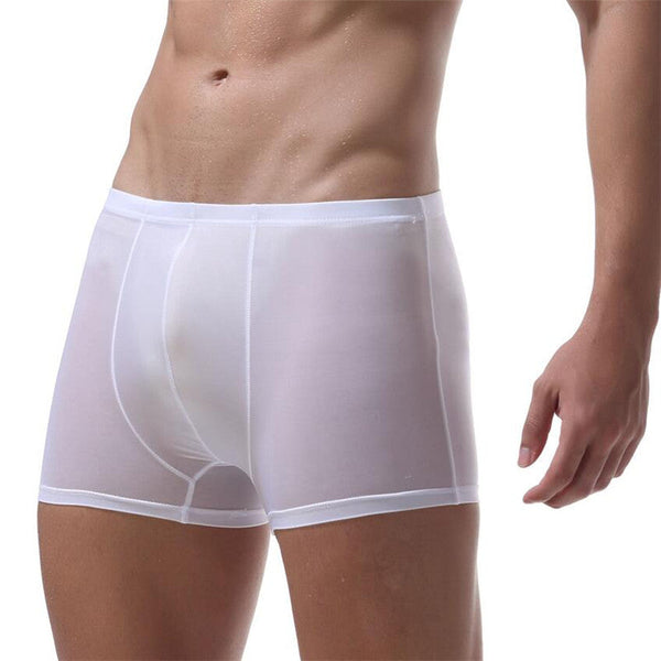 Ice Silk Transparent Underwear Men's